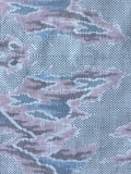 8026:1980s Tsumugi Silk, Japan, clouds closeup, note plus pixels